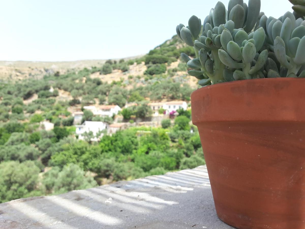 Panorama Apartment Kefálion Dış mekan fotoğraf
