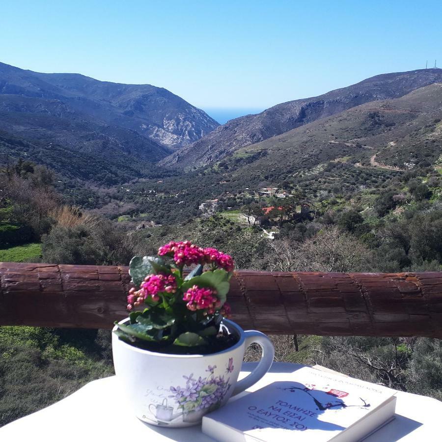 Panorama Apartment Kefálion Dış mekan fotoğraf