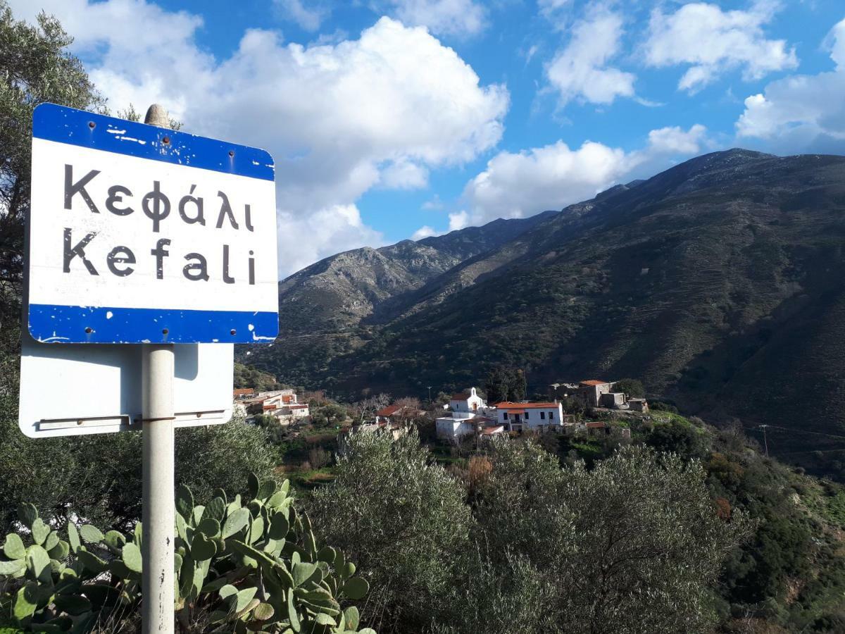 Panorama Apartment Kefálion Dış mekan fotoğraf